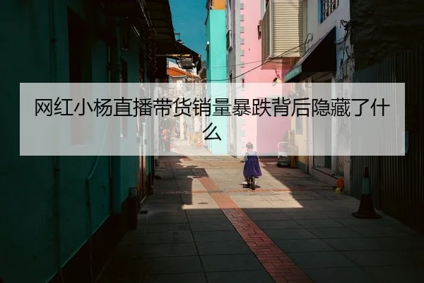 网红小杨直播带货销量暴跌背后隐藏了什么