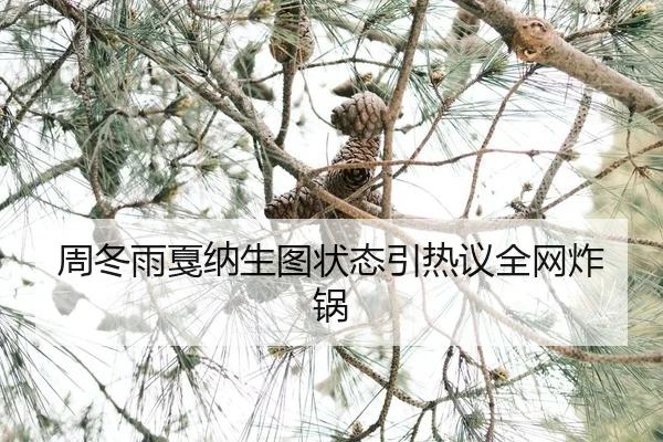 zhou-dong-yu-jia-na-sheng-tu-zhuang-tai-yin-re-yi-quan-wang-zha-guo-2-519.jpg