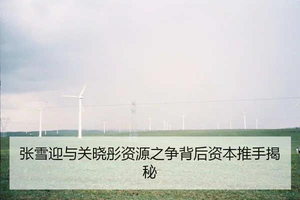 张雪迎与关晓彤资源之争背后资本推手揭秘