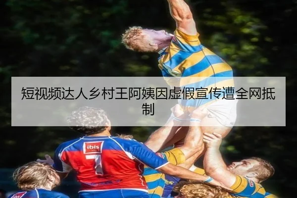 短视频达人乡村王阿姨因虚假宣传遭全网抵制